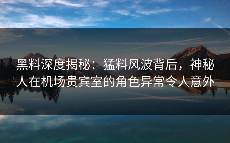 黑料深度揭秘：猛料风波背后，神秘人在机场贵宾室的角色异常令人意外