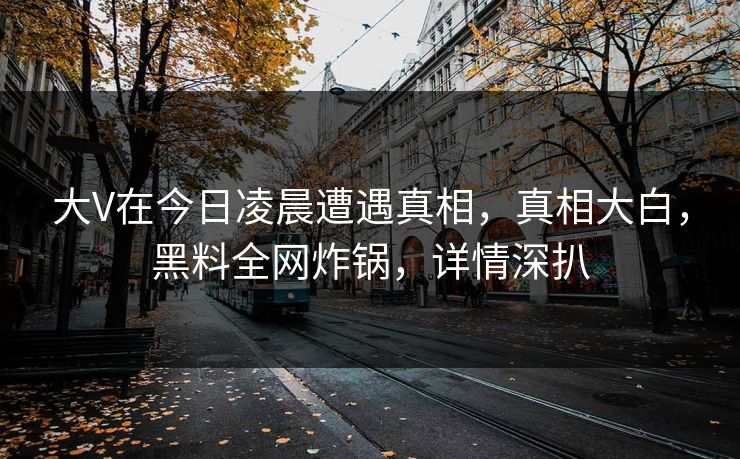 大V在今日凌晨遭遇真相，真相大白，黑料全网炸锅，详情深扒