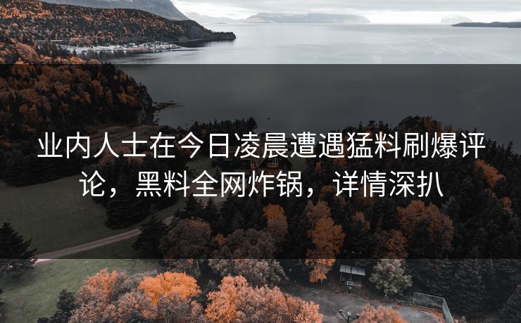 业内人士在今日凌晨遭遇猛料刷爆评论，黑料全网炸锅，详情深扒