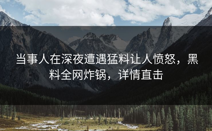 当事人在深夜遭遇猛料让人愤怒，黑料全网炸锅，详情直击