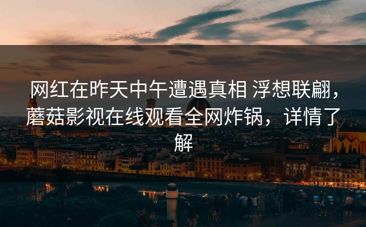 网红在昨天中午遭遇真相 浮想联翩，蘑菇影视在线观看全网炸锅，详情了解  第1张