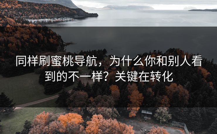 同样刷蜜桃导航,为什么你和别人看到的不一样?关键在转化